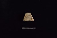 藏品(陶罐)的圖片